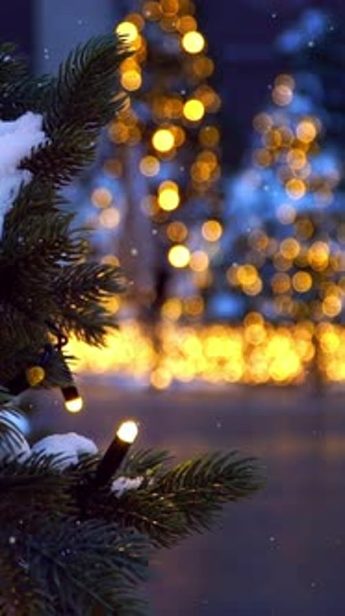 Fir Branch on Background Blurred Christmas Trees Evening City with Falling Snow