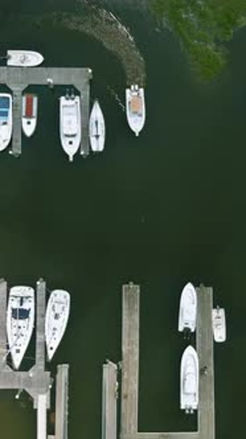 Marina with Boats Moored and a Picturesque Waterfront View in Bright Daylight