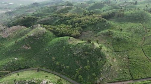 Aerial view of beautiful green hill forest landscape