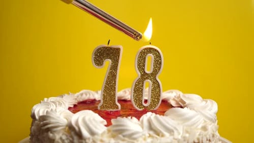 78. A candle in the form of the number 78, inserted into the holiday cake, is lit. Celebrating a bir