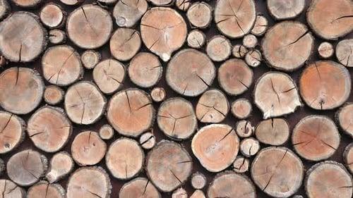 Seamless Loop of Natural Wood Logs Stacked Wall Panning