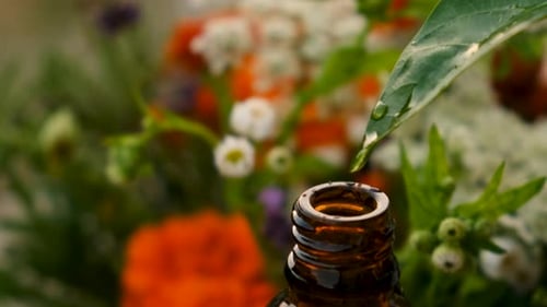 Essential Oil of Flowers and Herbs in a Bottle Selective Focus