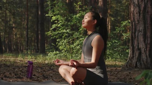 Woman Meditating in Forest Sunlight