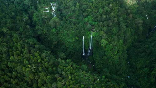 View Waterfall From Above Jungle Rice Terraces Sekumpul Drone Video