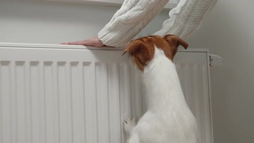 Cold Winter in Europe Households Rising Costs of Gas and Electricity