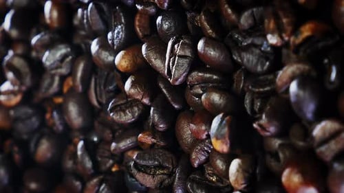 Fragrant coffee beans with roasted smoke, close up. Arabica coffee grains