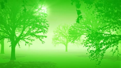 Stylized Green Trees with Bright Sun and Foggy Forest