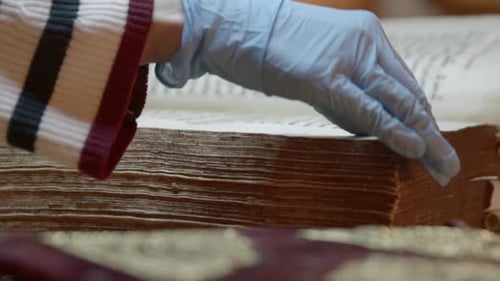 An expert analyzes exhibits for the museum, including huge books with annals