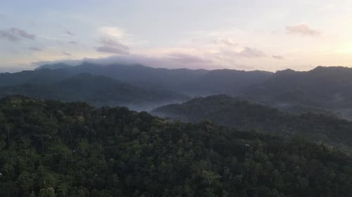 Aerial view of foggy green forest with canopies of spruce trees in the morning at Gunung Kidul.