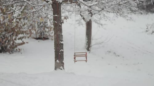A rustic swing hangs from the sturdy branch of a tree. Snow blankets the ground and trees, creating