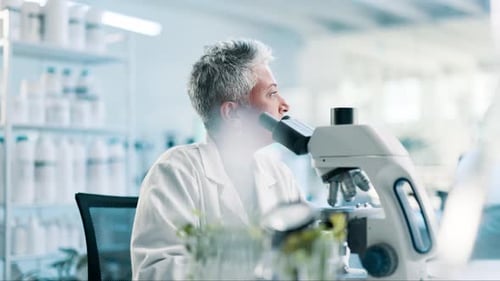 Scientist Using Microscope in Bright Modern Laboratory