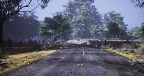 Scenic View of a Deserted Rural Road Surrounded By Lush Trees During Daylight