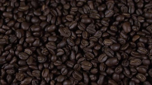 Gourmet-Kaffee - Hintergrund der Kaffeebohnen