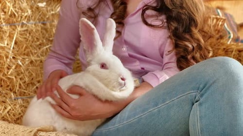 Woman petting a white bunny in the barn near square hay bales, in daylight