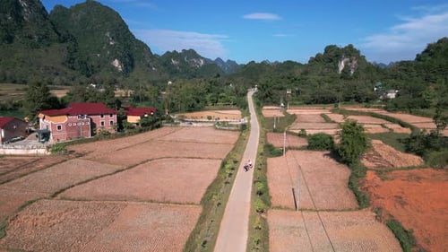 Vietnam 4K Drone aerial motorbike scooter enjoy rice field friends