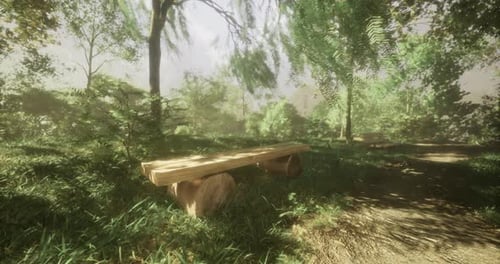 Relaxing Wooden Bench in a Tranquil Forest Setting Surrounded By Greenery