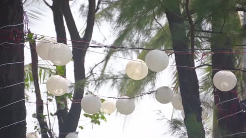 Lanterns Strung on Beach Trees on a Summer Day