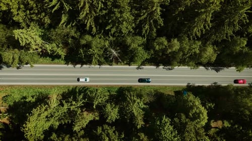 Automobile Driving Along Forest Highway Red Sedan Cruising Under Sunny Weather Top View