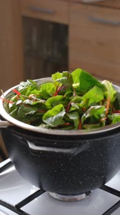 Fresh Swiss Chard Steaming In A Colander On The Stove