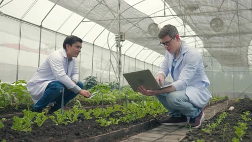 Researchers Examining Plant Life in Greenhouse