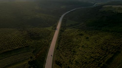 Video-Drohne fliegt bei Sonnenuntergang im Morgengrauen über die Straße zwischen grünen landwirtschaftlichen Feldern