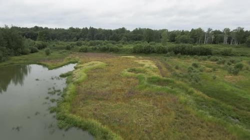 A calm deserted landscape from a bird's-eye view. Stock footage. A green clearing with a river