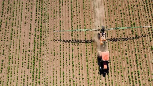Tractor Spraying Pesticides on Vegetable Field with Sprayer