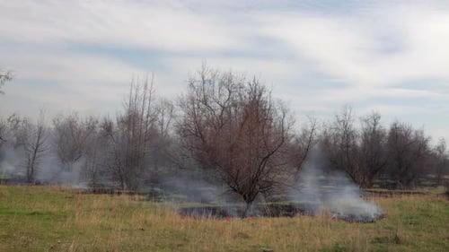 Forest Fire In Prarie