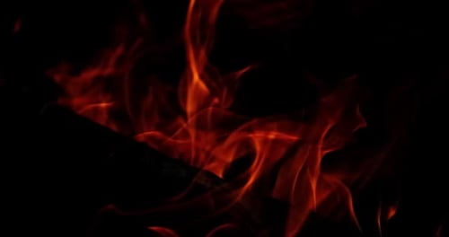 Fire flame