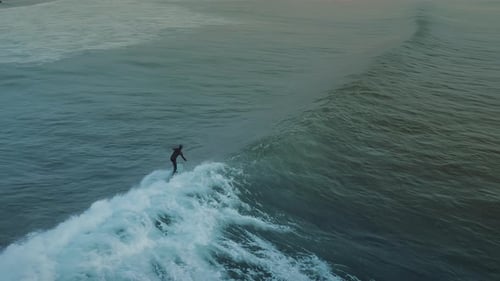 Group of surfers riding blue ocean waves at golden sunset by the beach