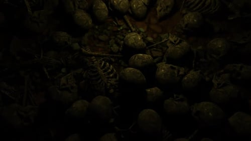 Land des Todes 01 HD