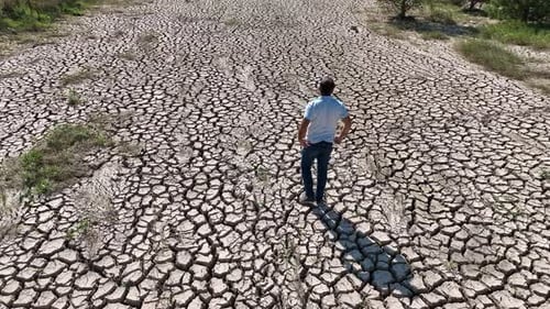 Adult Walking on Cracked Dry Land From Aerial View