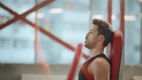 Muscular sportsman training dumbbell curls for strength in fitness gym workout