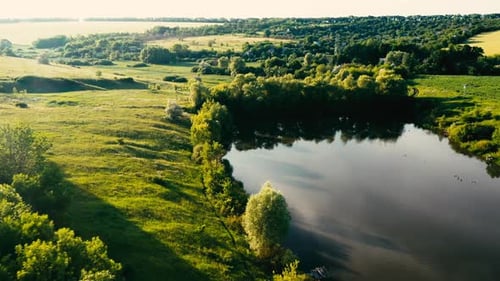 Pond Among Fields and Forest
