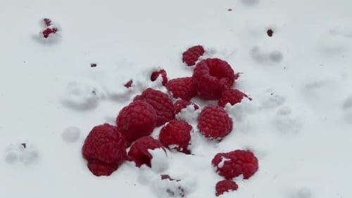 Red Raspberry Dropped Yogurt Close Up