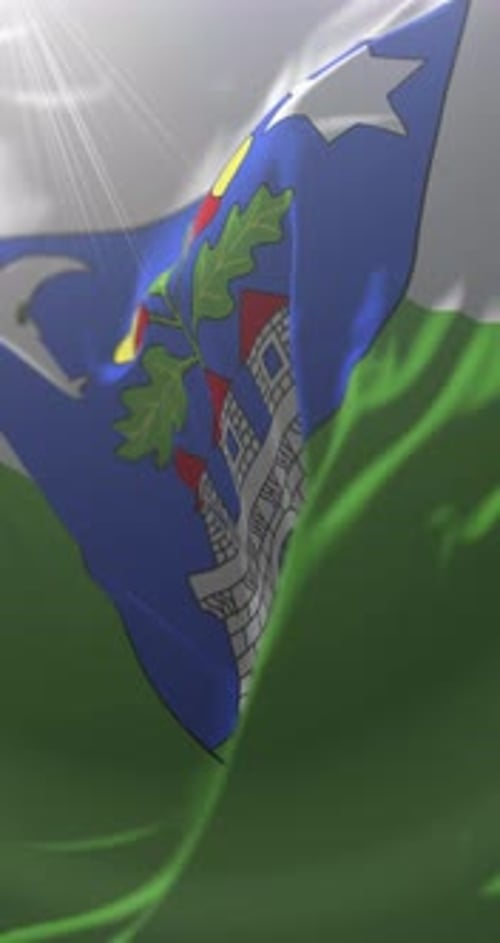 Animated Waving Vertical Flag with Historical Emblem and Sunlight