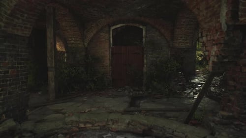 Dark Ruined Brick Cellar Interior Exploration with Overgrown Debris