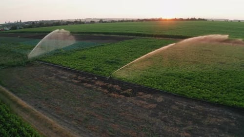 Water Spraying System Hydrates Plants on Agricultural Field