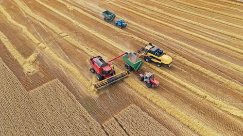 Agricultural machinery on the golden field.
