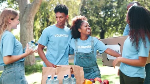 Volunteers Organize Donations in a Sunny Park