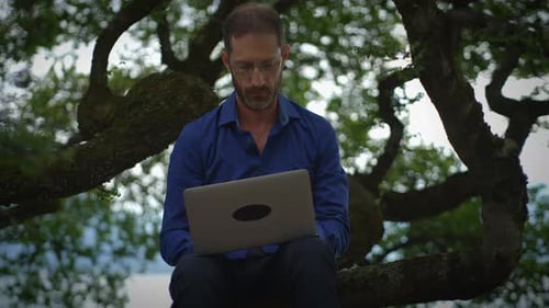 Man Sits in Tree Using Laptop
