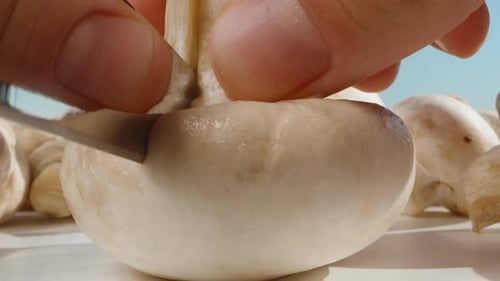 une dispersion de champignons sur une table blanche, j'en coupe un en deux, et la caméra passe à travers le c