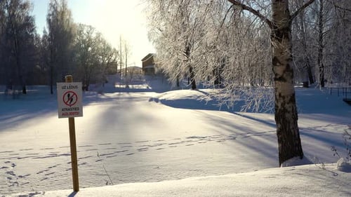 Snowy Landscape with Frost Covered Trees on Sunny Day