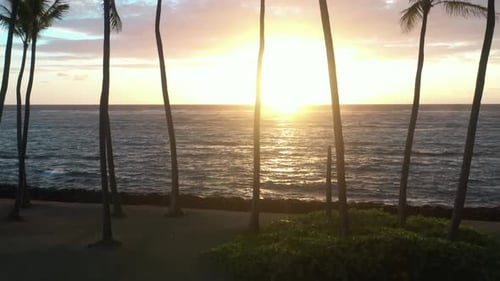 Luftbild über Kokospalmen bei Sonnenuntergang am Strand, Kauai Hawaii
