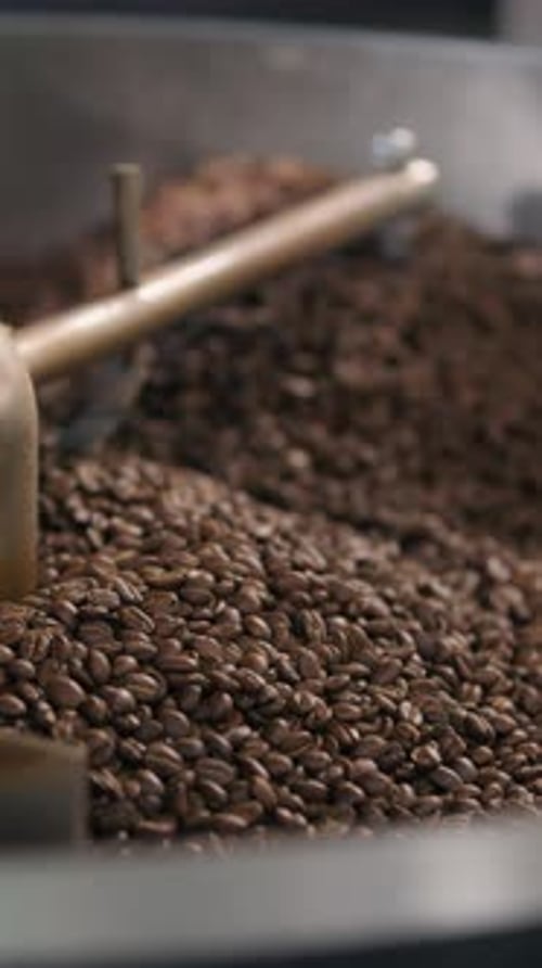 Coffee Roasting Circle Mixing Hot Beans Roaster Machine Blend Caffeine Factory Automate Swirling