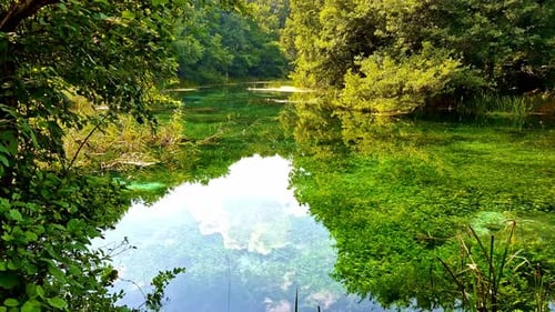 Tilt up tranquil shot of Sv Naum clear springs in Macedonia of fresh and transparent water.