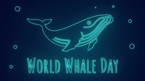 world whale day 18 february whale protection save ocean