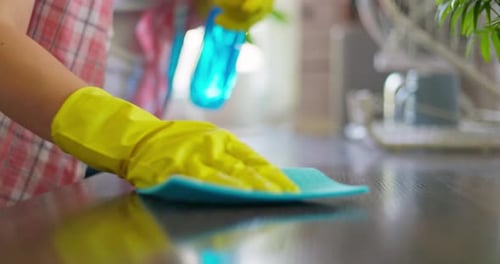 Woman Wipes Table With Cloth and Spray Bottle