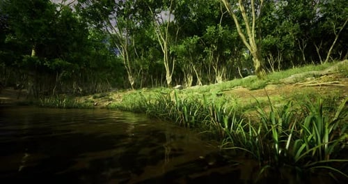 Lush Green Forest By a Tranquil River During Daylight Hours