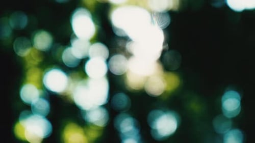 Beautiful Green Vibrant Natural Video Bokeh Abstract Background Summer Concept of Abstract Blurred